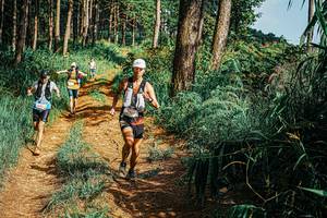 BIB: 
                            <button type="button" onclick="openModal(25704591)" class="btn btn-primary btn-sm float-right btn-popup" data-toggle="modal" data-target=".modal-high-quality">
                        <i class="fas fa-shopping-cart"></i> Add to Cart
                    </button>
                                            <button type="button" onclick="isThisMe(25704591, true)" class="btn btn-success btn-sm float-right btn-popup btn-isme hidden" data-toggle="tooltip" data-placement="bottom" title="นี่คือรูปของคุณใช่ไหม คลิกที่นี่เพื่อเอาเข้าอัลบั้ม">
                        <i class="fas fa-plus"></i> Add to album
                    </button>
                    <button type="button" onclick="isThisMe(25704591, false)" class="btn btn-warning btn-sm float-right btn-popup btn-isnotme hidden">
                        <i class="fas fa-ban"></i> Remove from album
                    </button>